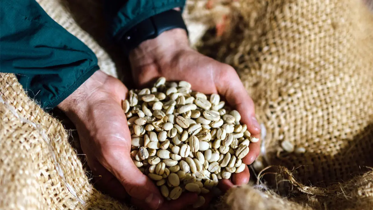 Close up on a plate of mashed potatoes, topped with baked pork chops with cream of mushroom soup, and a side of green beans.