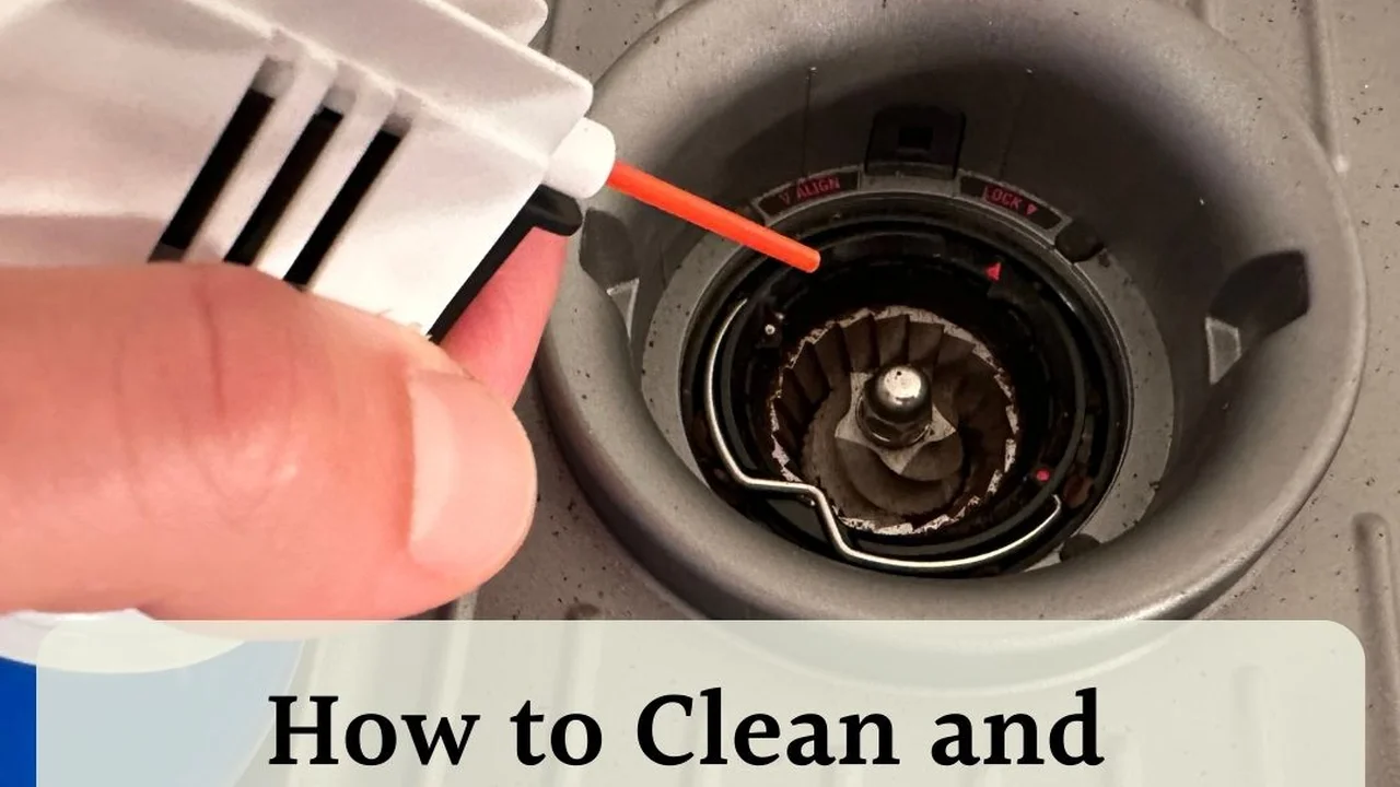 Two mint chocolate milkshakes with whipped cream and green sprinkles.