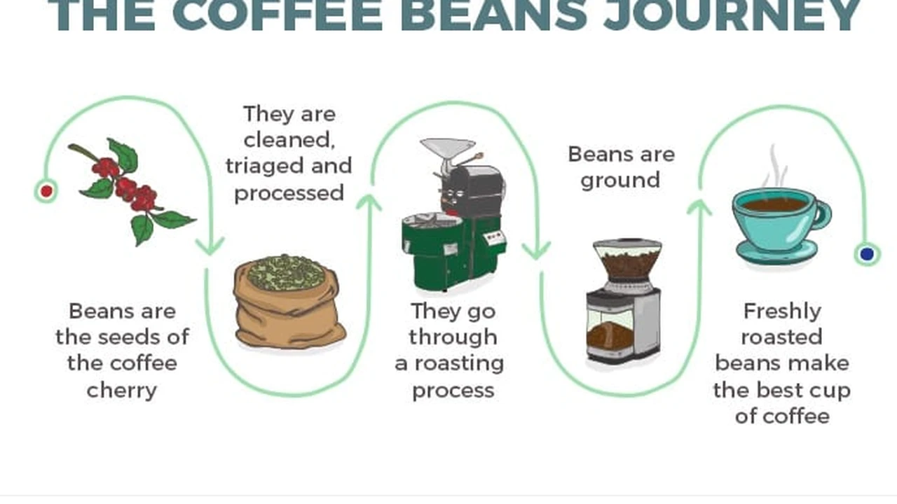 pork chops with cream sauce